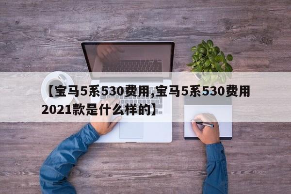 【宝马5系530费用,宝马5系530费用2021款是什么样的】