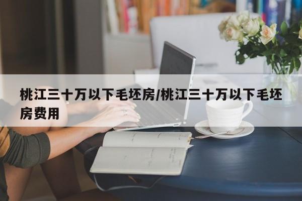 桃江三十万以下毛坯房/桃江三十万以下毛坯房费用
