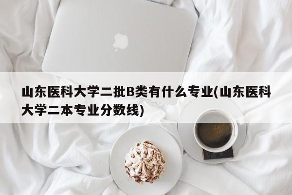 山东医科大学二批B类有什么专业(山东医科大学二本专业分数线)