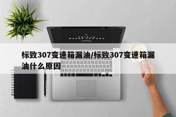 标致307变速箱漏油/标致307变速箱漏油什么原因