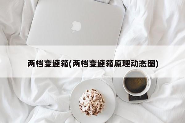 两档变速箱(两档变速箱原理动态图)