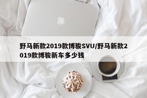 野马新款2019款博骏SVU/野马新款2019款博骏新车多少钱