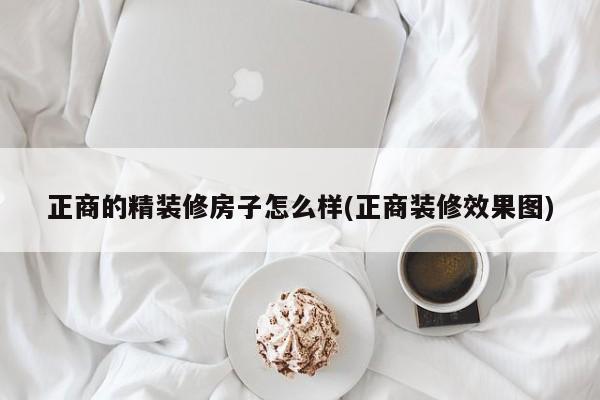 正商的精装修房子怎么样(正商装修效果图)