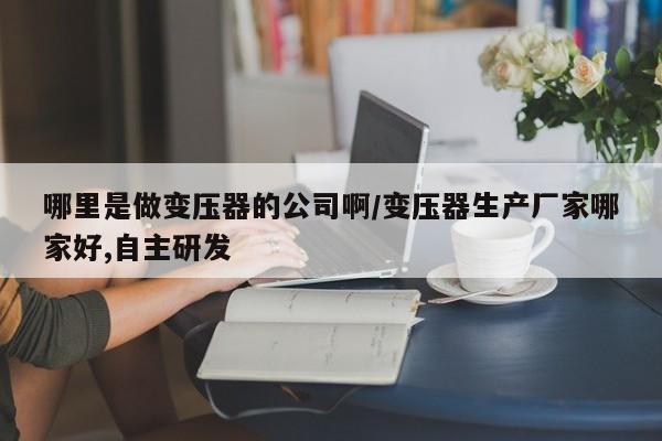 哪里是做变压器的公司啊/变压器生产厂家哪家好,自主研发