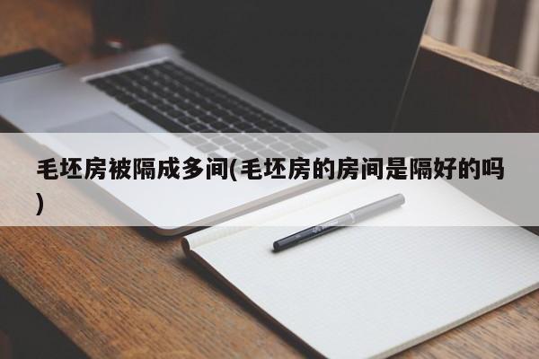 毛坯房被隔成多间(毛坯房的房间是隔好的吗)